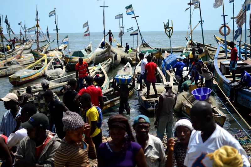 In pictures: Fishing in Sierra Leone - BBC News