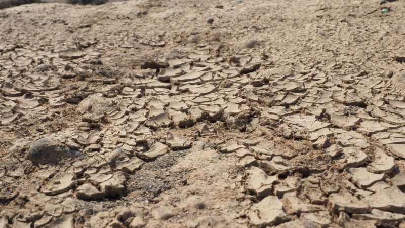 Climate change: UN calls for radical changes to stem warming - BBC News