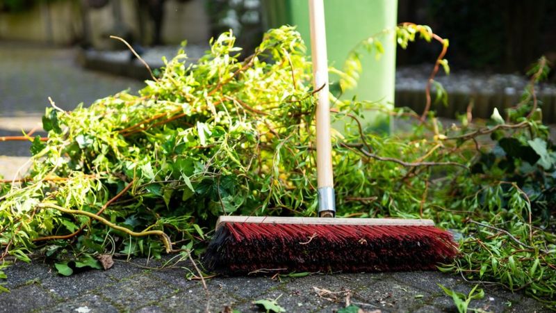 sandwell-council-considers-charging-for-collecting-garden-waste-bbc-news