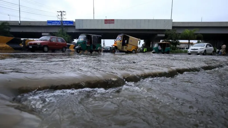 Pakistan: Lightning and unusually heavy rain kill dozens