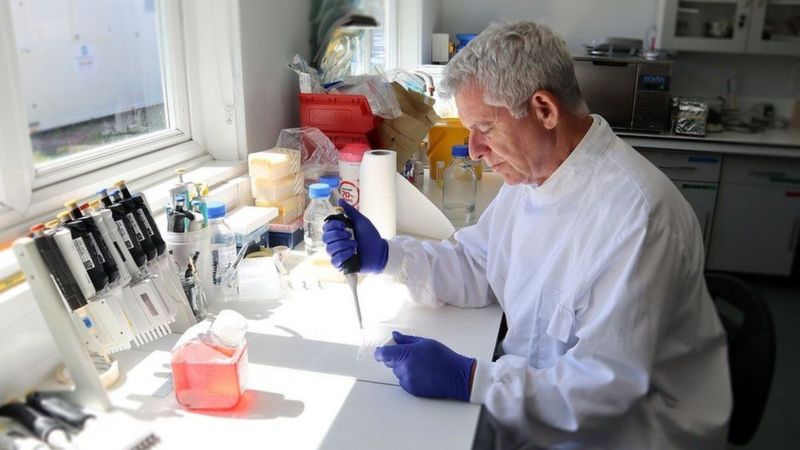 Astonishing Discovery Ferrets Show Flu Immunity Might Block Severe Bird Flu - 8ycchs6
