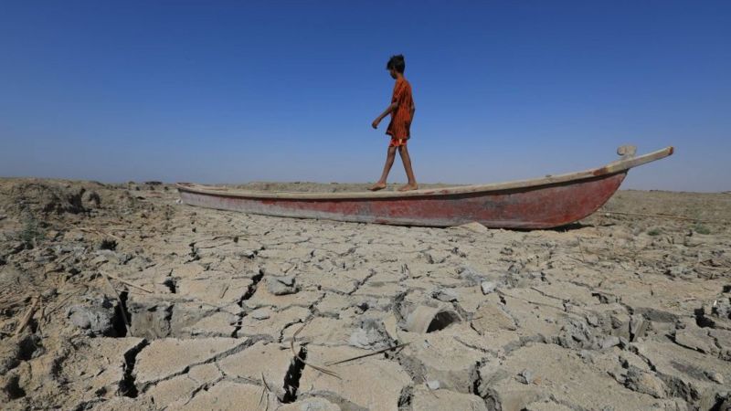 干旱与气候变化:当2022年成为了旱灾与高温之年 - BBC News 中文