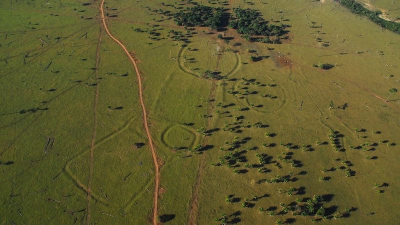 Humans in Amazon rainforest 'earlier than thought' - BBC News