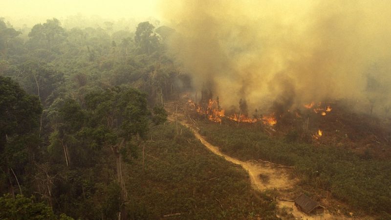 Incendios En El Amazonas: Las Críticas Contra Bolivia Y Paraguay (y No ...