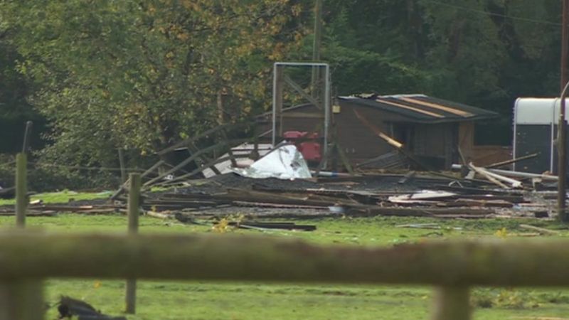 Hampshire tornado destroys buildings and trees - BBC News