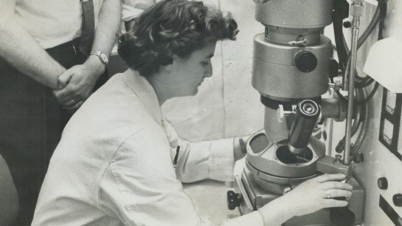 the-woman-who-discovered-the-first-coronavirus-bbc-news