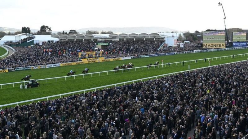 Cheltenham Festival organisers stand by decision to hold 2020 meet ...