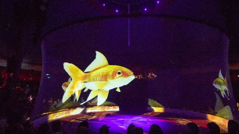 Hologram fish in the circus