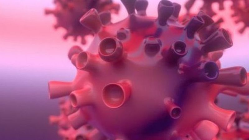 ภาพวาดเชื้อโรค