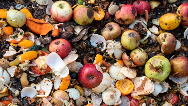 food-waste-amount-thrown-away-totals-900-million-tonnes-bbc-news