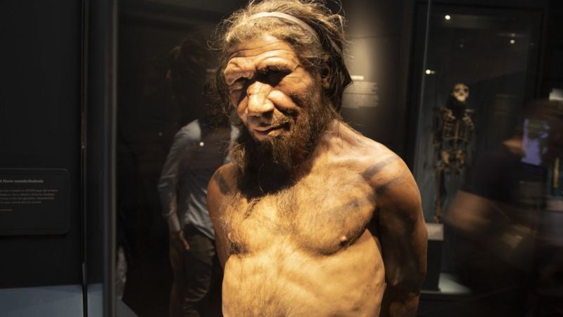 Recreación de un hombre neandertal