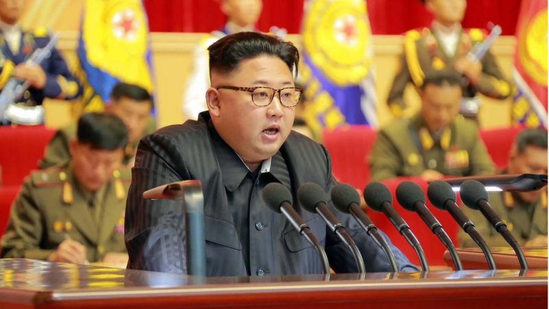 North Korea's Kim Jong-un gets 'first official portrait' - BBC News