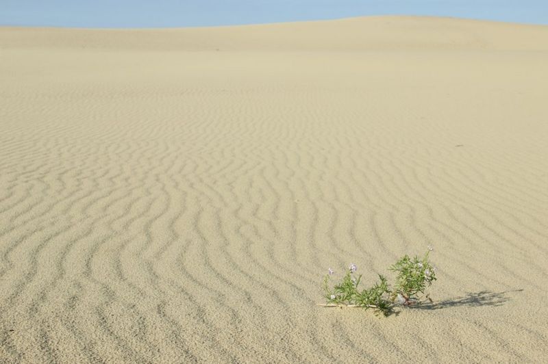 conflict-and-survival-biology-photo-award-bbc-news