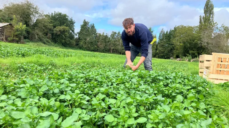 Trabajadores híbridos que buscan realización en el campo