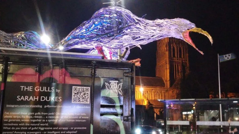 El arte basura refleja el debate sobre las gaviotas en el centro de la ciudad