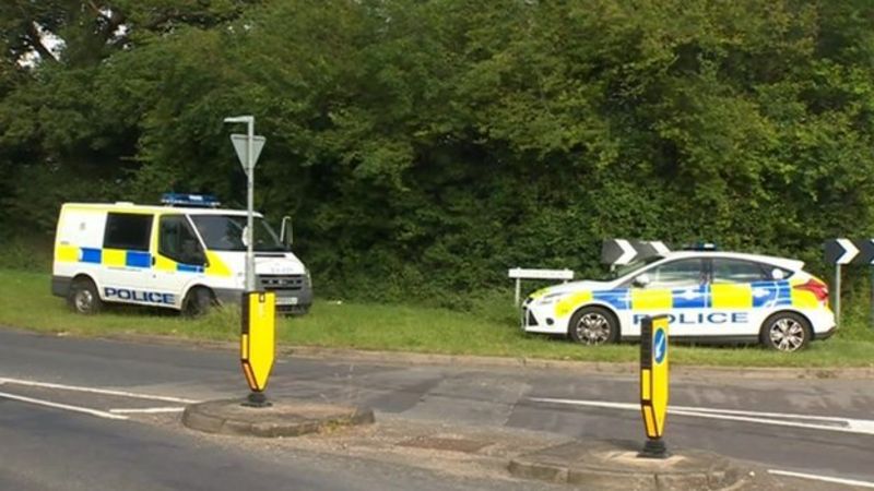 Man arrested after two children stabbed in Havant - BBC News