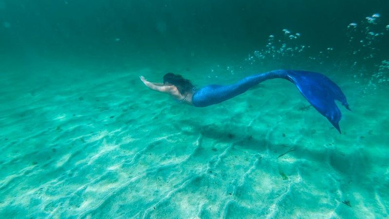 The Hebrides' wild swimming 'real-life' mermaid - BBC News