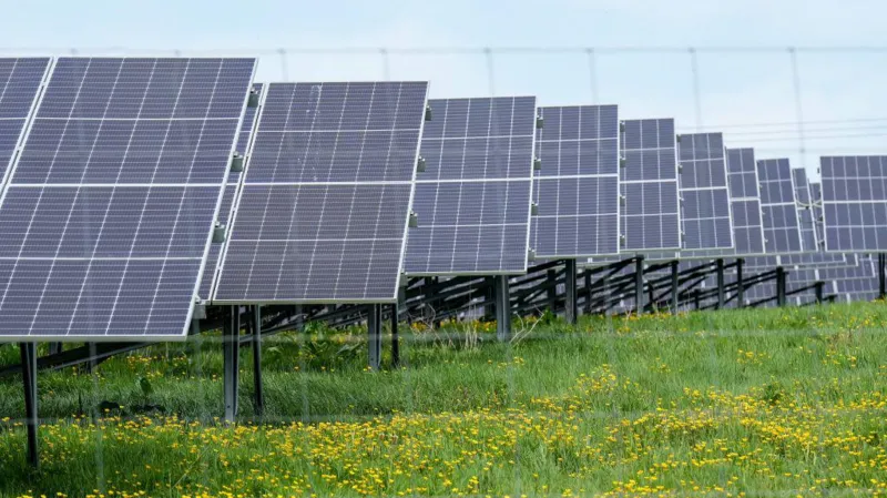 Más parques solares en camino tras una subasta récord de energías renovables