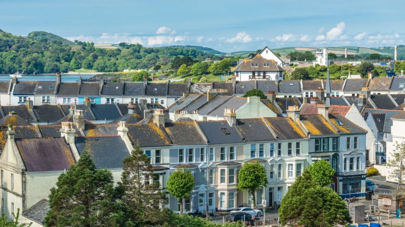 Devon | Latest News & Updates | BBC News