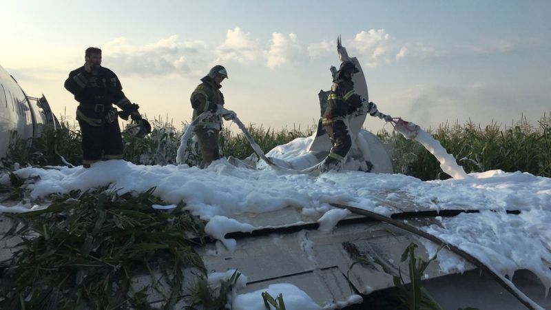 Вы на кукурузном поле вокруг зелень до самого горизонта солнце слепит вам глаза киберпанк