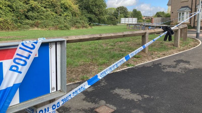 Barrow Upon Soar Murder Arrest After Woman Struck By Car Bbc News