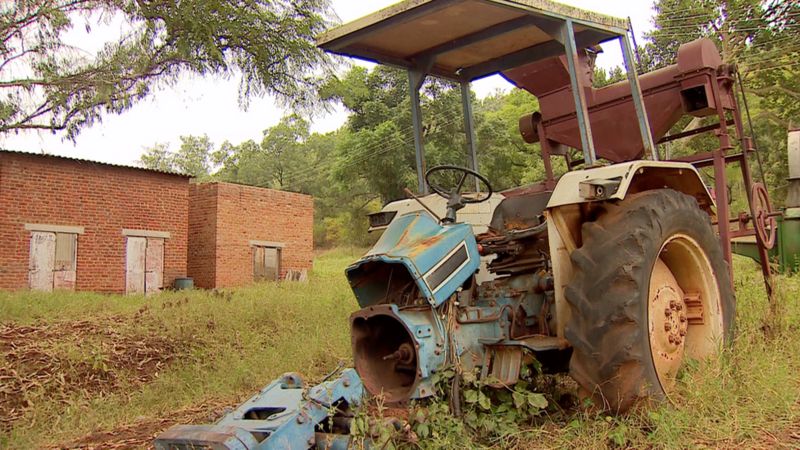 Zimbabwes White Farmers Who Will Pay Compensation Bbc News