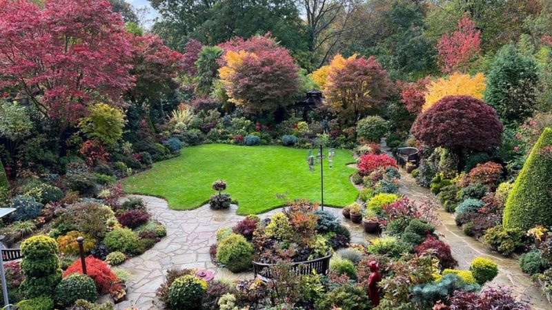 Last chance to see 'Britain's best garden' in Walsall - BBC News