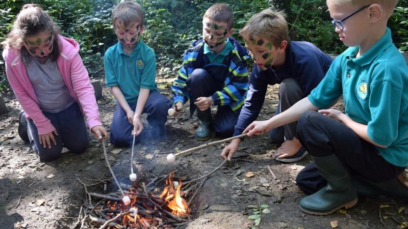 Pencoed Primary School wins woodland classroom award - BBC News