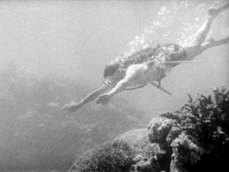 Sir David Attenborough's New Film Inspires Hope for the Ocean's Future