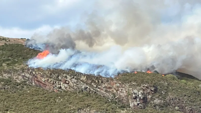 Un pompiers observe une zone d'herbe en feu sur une colline, la fumée grise montant dans le ciel.