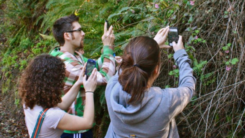 iNaturalist