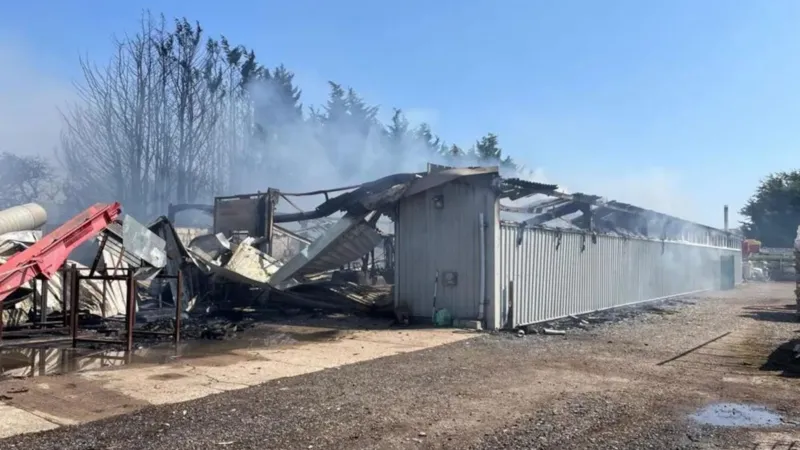 Doce dotaciones de bomberos combaten un gran incendio en una carpintería. Doce dotaciones de bomberos combaten un gran incendio en una carpintería.