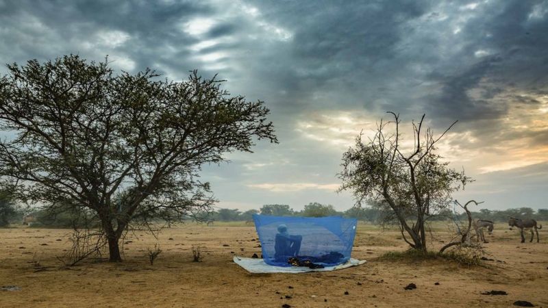 In pictures: The men competing for love in the deserts of Chad - BBC News