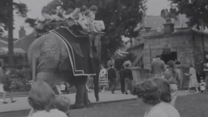 Bristol Zoo To Leave Clifton Site After 185 Years - BBC News