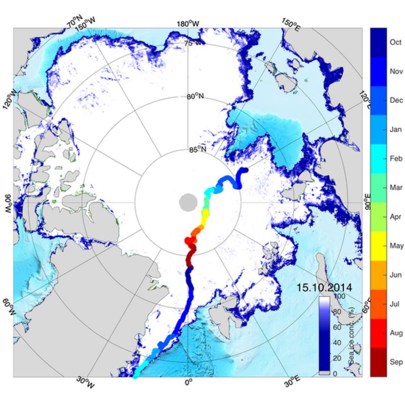 Ice-locked ship to drift over North Pole - BBC News