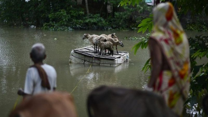 Forgotten Floods: Why India Can't Afford To Ignore Assam - BBC News