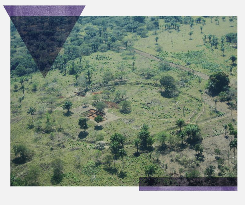 Foto aérea de uma das valas em um sítio arqueológico da região dos Llanos de Moxos