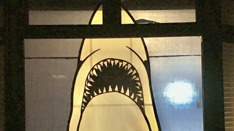 Shark artwork