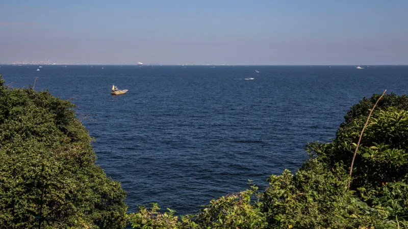 Bather rescued 80km from Japan beach after 36 hours