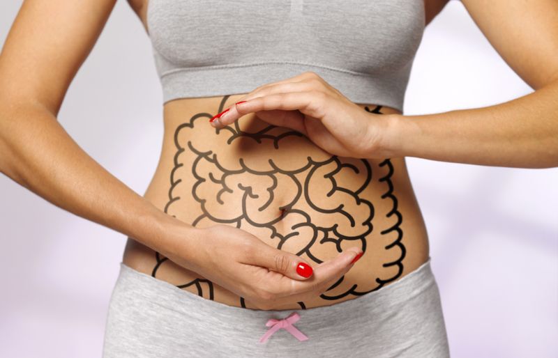 En el abdomen hay funciones vitales del cuerpo