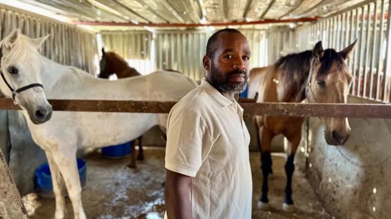 Palestinian horse centre vows to rebuild after West Bank demolition