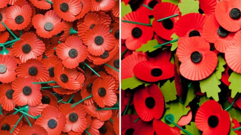 Remembrance Sunday: What's different about the Scottish poppy? - BBC News