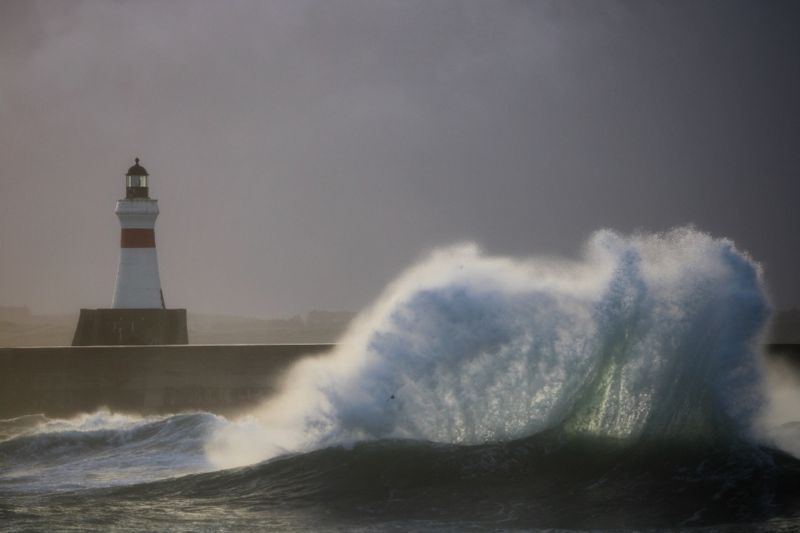 Your pictures of Scotland: 28 January - 4 February - BBC News