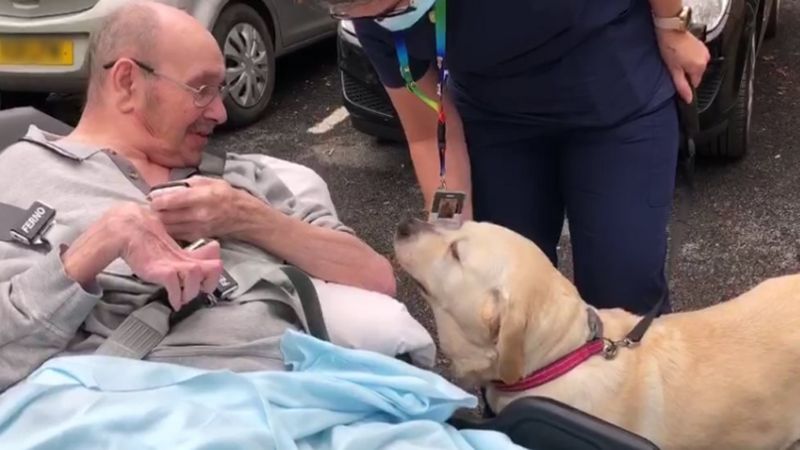 Stolen dog found in Brighton reunited with Cambridgeshire owner - BBC News