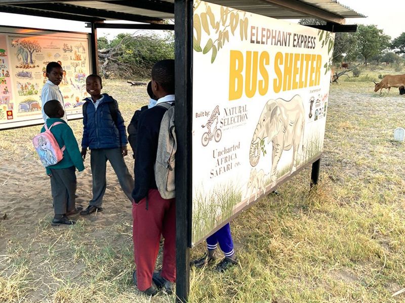 Elephant Corridors: The Busy Trunk Routes Where Locals Take Care To ...