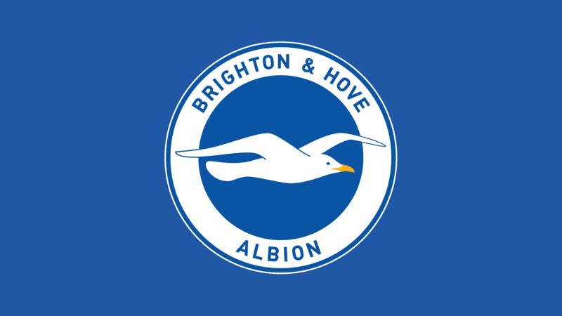 Brighton & Hove Albion FC - Transfer news, results, fixtures, video and ...