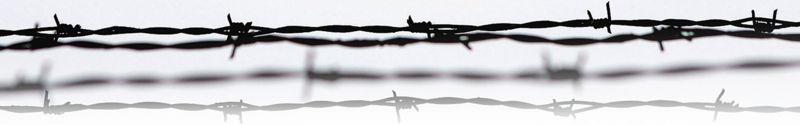Platinum Essay: Auschwitz research paper outline top quality score!