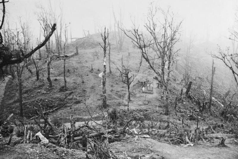 Вид на поле боя Гарнизон-Хилл с показанными позициями англичан и японцев. Гарнизон-Хилл был ключом к британской обороне в Кохиме.