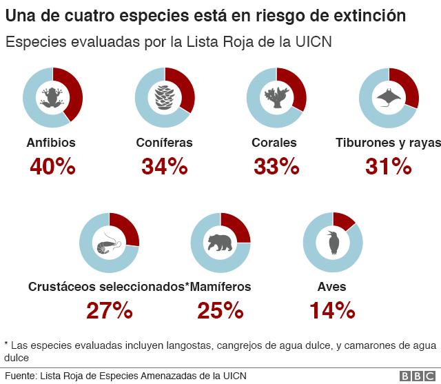Gráfico sobre porcentajes de especies amenazadas