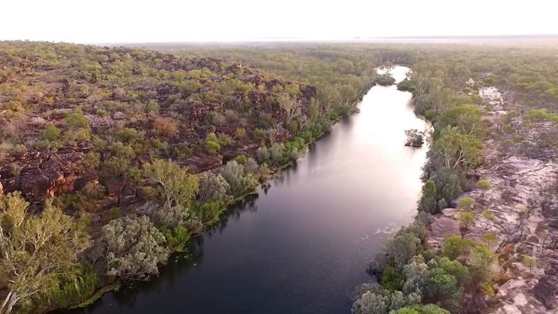 Mud Wasps Used To Date Australia's Aboriginal Rock Art - BBC News